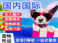 天河空运公司国际宠物托运 【国